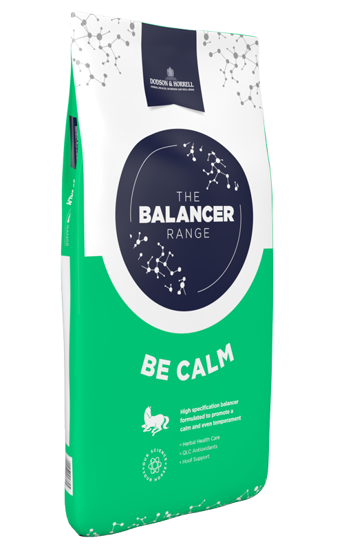 Product image for Be Calm Balancer