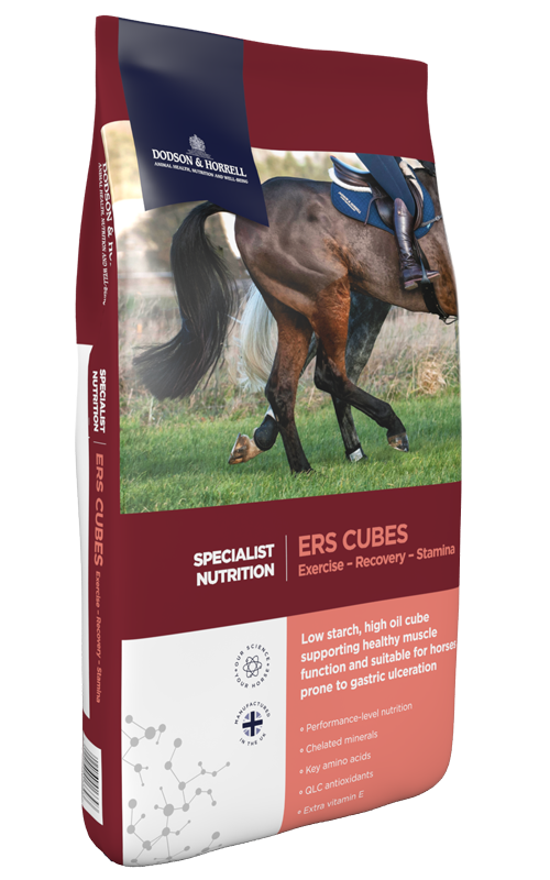 ERS Cubes | Exercise, Recovery, Stamina | Dodson Horrell