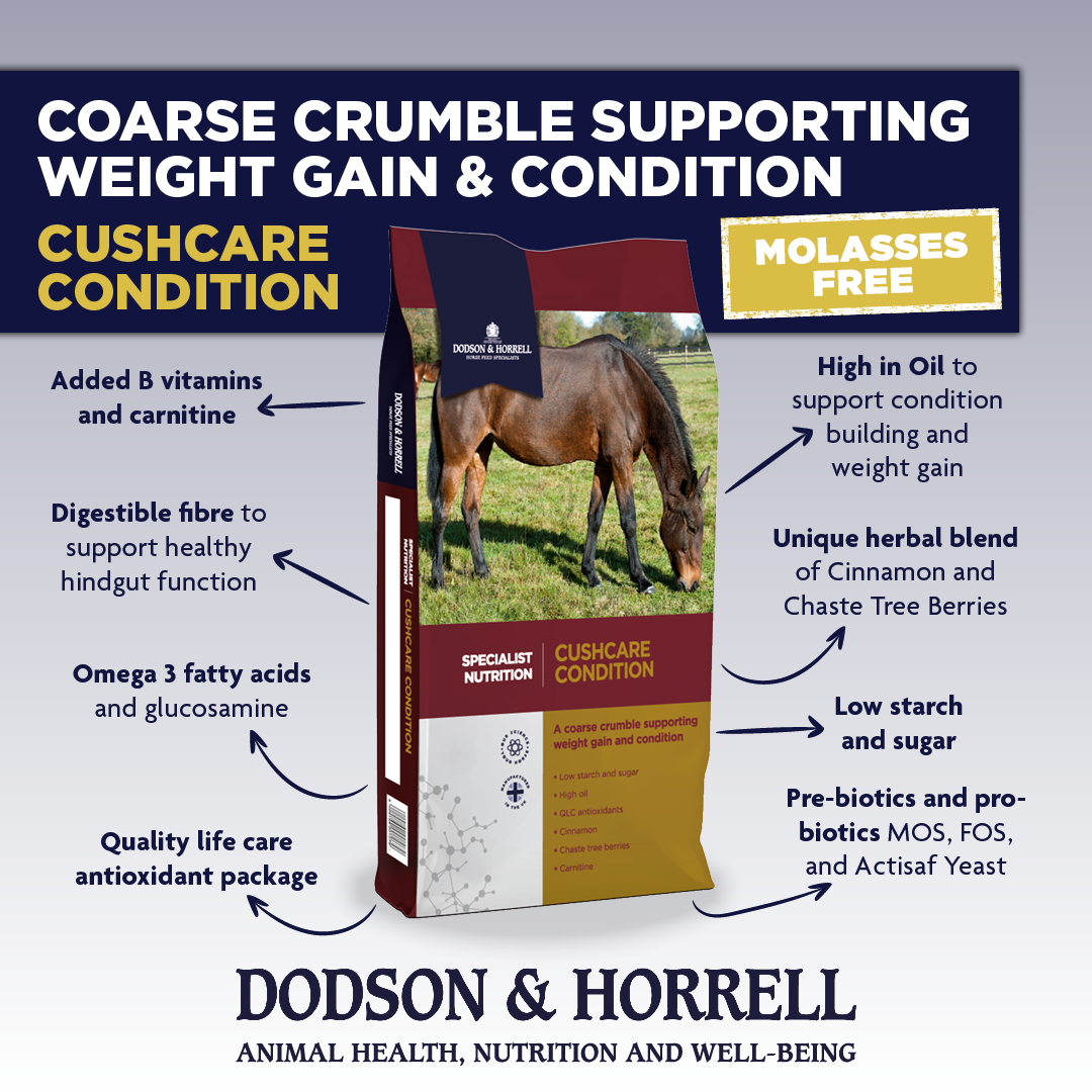 A Spotlight on Cushings and Equine Metabolic Syndrome (EMS) | Dodson ...