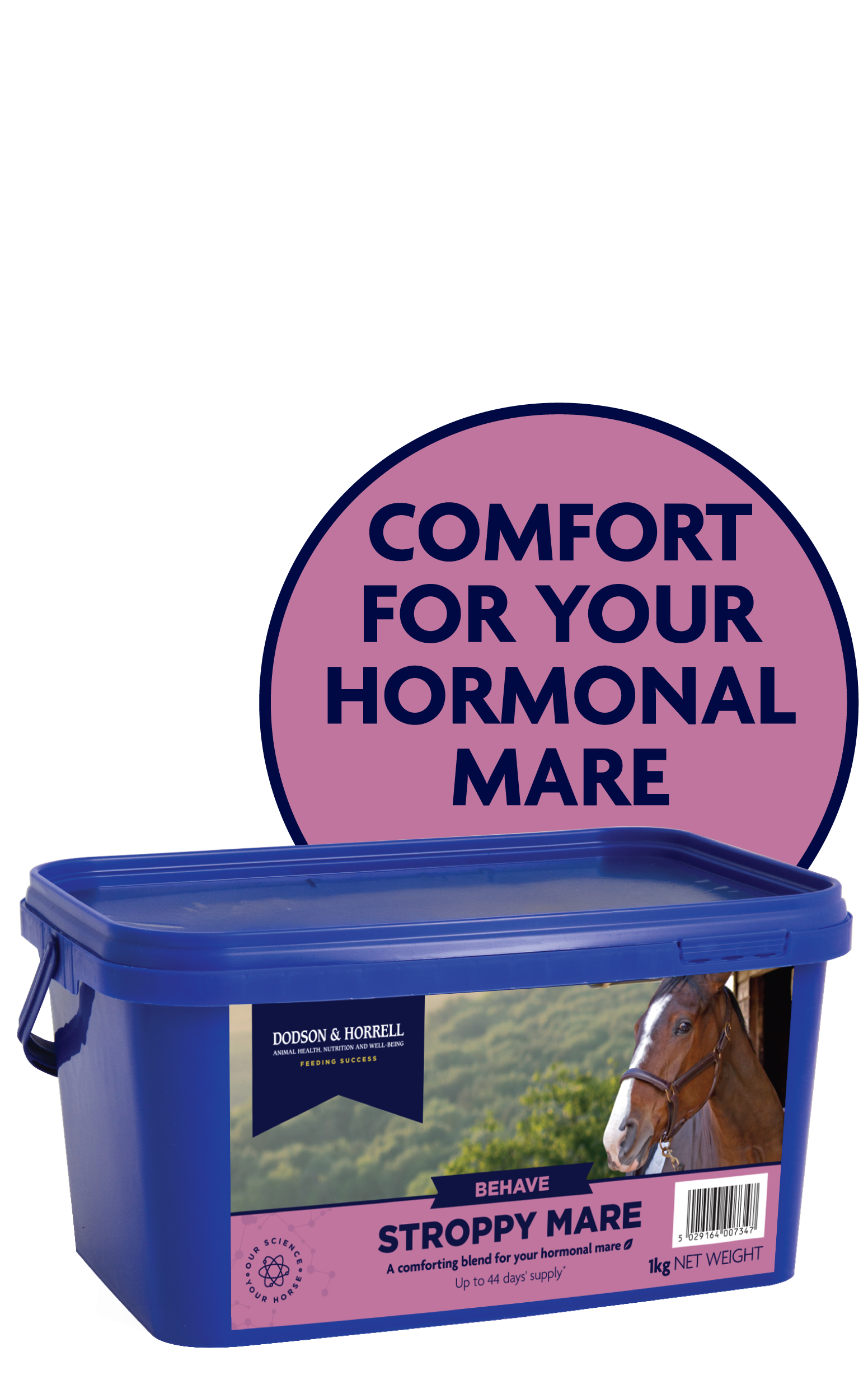 Product image for Stroppy Mare