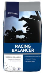 thumbnail for  Racing Balancer