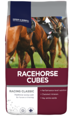 thumbnail for  Racehorse Cubes