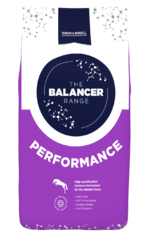 thumbnail for  Performance Balancer