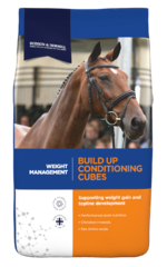 thumbnail for  Build Up Conditioning Cubes