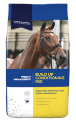 thumbnail for  Build Up Conditioning Mix